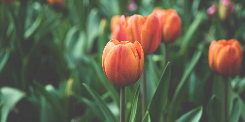 中国设计10：设计师对接与作品展示的双向赋能