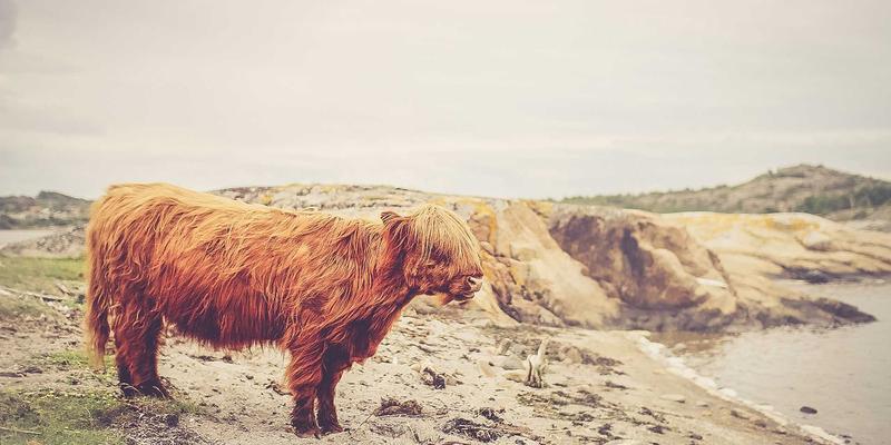 中国设计17：东方美学与现代生活的诗意交融