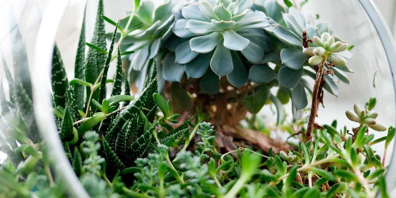 中国设计62：融合传统与现代的创意设计新浪潮