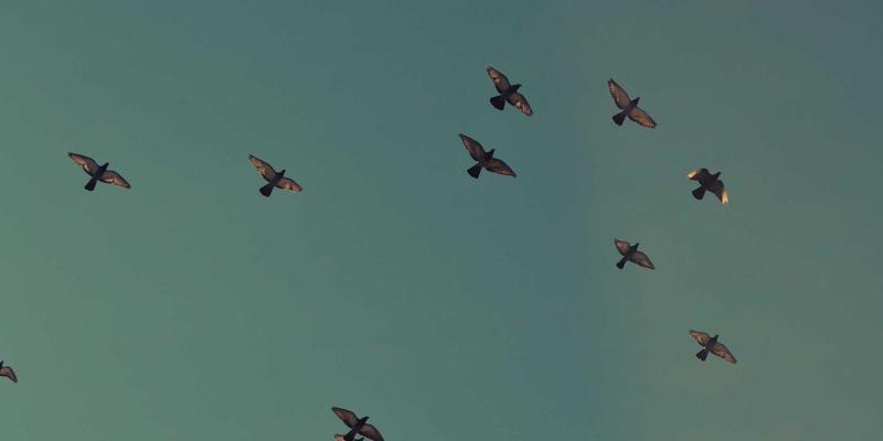 中国设计78：工业设计与创意设计的融合浪潮