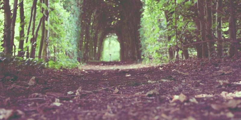 中国设计85：从觉醒到引领，一个设计大国的时代跨越