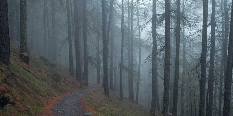中国设计出海：复古美学如何通过本土化策略征服全球室内设计市场