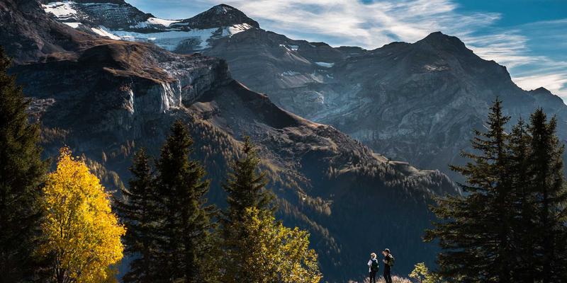 中国设计教程新生态：设计平台如何赋能平面设计与设计师高效对接