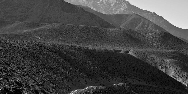 从室内设计到战略革新：设计思维如何重塑中国企业咨询与本土化实践