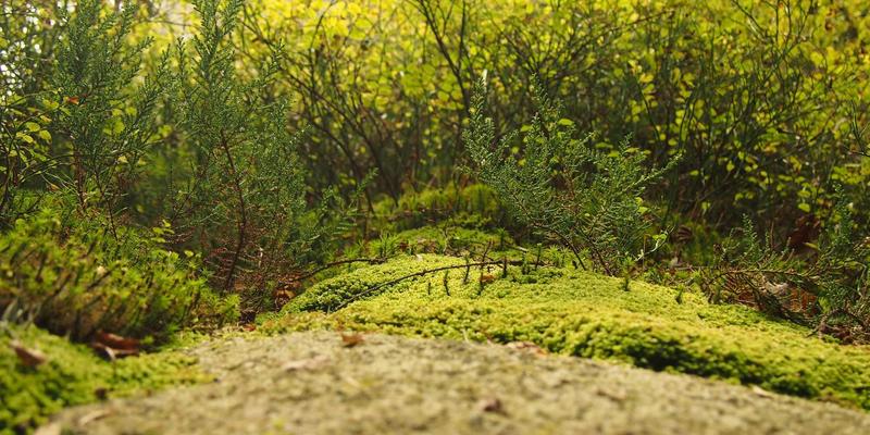从平面到立体：设计服务如何驱动数字孪生城市的虚拟仿真与交互体验构建