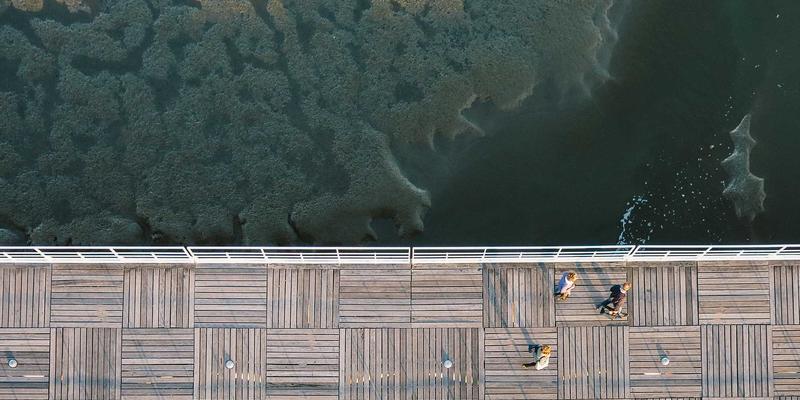 从自然到设计：生物仿生学如何重塑中国可持续产品设计与设计师对接模式