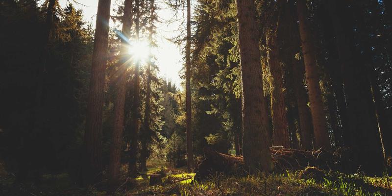 从认知发展到安全规范：专业设计服务如何塑造卓越的中国儿童教育产品