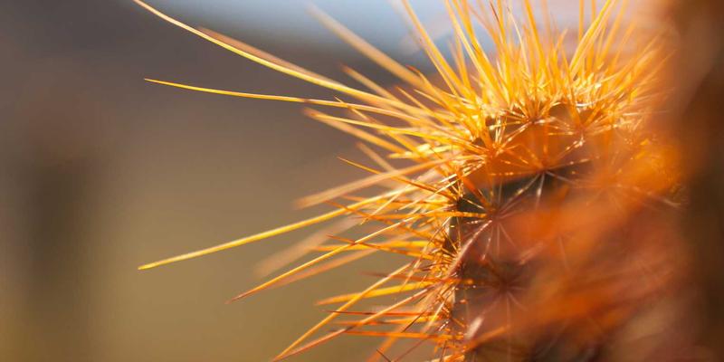 复古设计新生：生物基与智能材料如何重塑中国设计师作品与工业设计