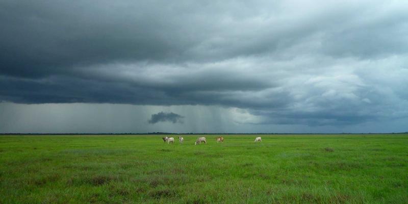 工业设计与室内设计的自然革命：中国设计师如何从生物仿生学中汲取可持续创新灵感
