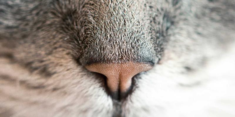 设计伦理与责任：中国消费社会中平面、创意与室内设计师的角色反思